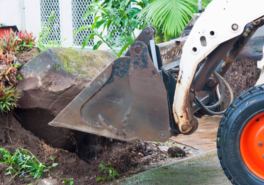 landscaping Ballarat's skid steer maneuvering a boulder into a garden bed that is covered in plants and moss
